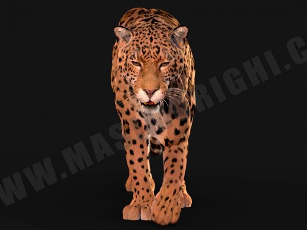 Jaguar 3D Model Online | Animal 3D Model Online