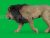 Lion 3D Model Online | Animal 3D Model Online