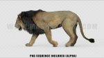 Lion 3D Model Online | Animal 3D Model Online