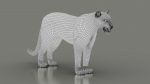 Jaguar 3D Model Online | Animal 3D Model Online