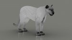 Jaguar 3D Model Online | Animal 3D Model Online