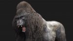 Gorilla 3D Model Online | Animal 3D Model Online