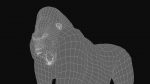 Gorilla 3D Model Online | Animal 3D Model Online