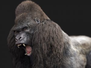 Gorilla 3D Model Online | Animal 3D Model Online