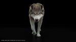 Wolf 3D Model Online | Buy Animal 3D Model Online