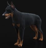 Dobermann 3D Model Online | Buy Animal 3D Model Online