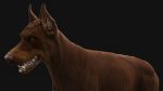 Dobermann 3D Model Online | Buy Animal 3D Model Online