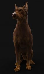 Dobermann 3D Model Online | Buy Animal 3D Model Online