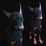 Dobermann 3D Model Online | Buy Animal 3D Model Online