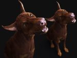 Dobermann 3D Model Online | Buy Animal 3D Model Online