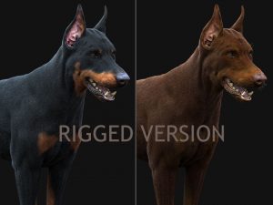 Dobermann 3D Model Online | Buy Animal 3D Model Online