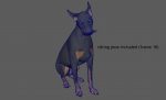 Dobermann 3D Model Online | Buy Animal 3D Model Online