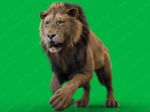 Lion 3D Model Online | Buy Animal 3D Model Online