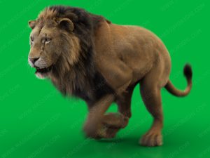 Lion 3D Model Online | Buy Animal 3D Model Online