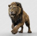 Lion 3D Model Online | Buy Animal 3D Model Online