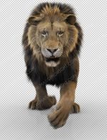 Lion 3D Model Online | Buy Animal 3D Model Online