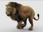 Lion 3D Model Online | Buy Animal 3D Model Online
