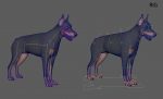 Dobermann 3D Model Online | Buy Animal 3D Model Online