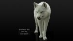 Arctic Wolf (RIGGED) (XGEN-igs) 3D Models Online | Massimo Righi