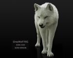 Arctic Wolf (RIGGED) (XGEN-igs) 3D Models Online | Massimo Righi
