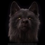 Black Wolf 3D Model Online | Buy Animal 3D Model Online