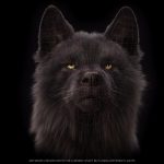Black Wolf 3D Model Online | Buy Animal 3D Model Online