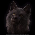 Black Wolf 3D Model Online | Buy Animal 3D Model Online