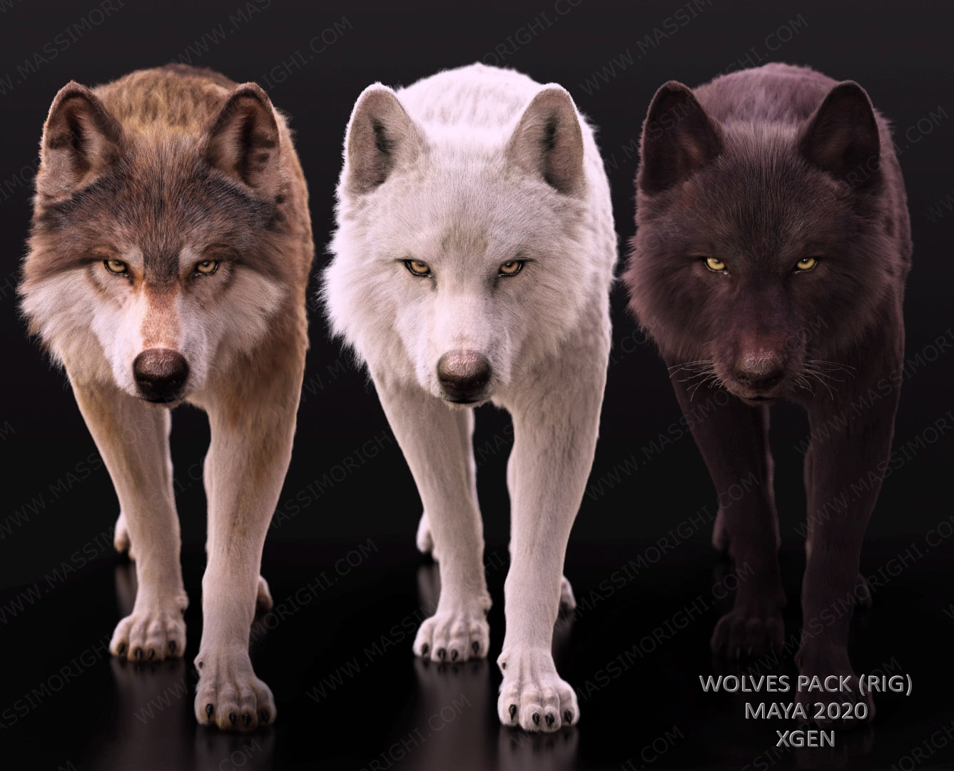 Buy Wolves Pack (RIGGED) (XGEN) 3D Models Online | Massimo Righi