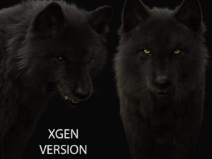 Black Wolf 3D Model Online | Buy Animal 3D Model Online
