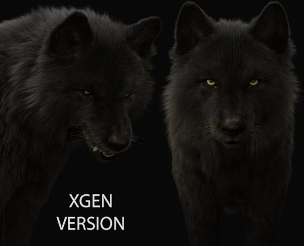 Black Wolf 3D Model Online | Buy Animal 3D Model Online