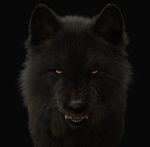 Black Wolf 3D Model Online | Buy Animal 3D Model Online