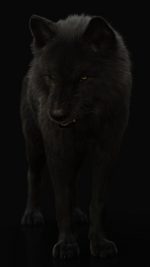 Black Wolf 3D Model Online | Buy Animal 3D Model Online