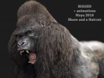 Buy Gorilla 3D (RIG) (XGEN-CORE) Model Online