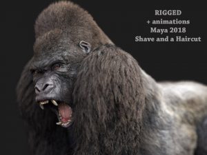 Buy Gorilla 3D (RIG) (XGEN-CORE) Model Online