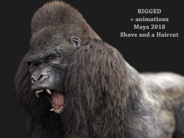 Buy Gorilla 3D (RIG) (XGEN-CORE) Model Online