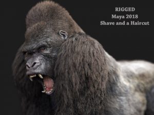 Buy Gorilla 3D (RIG) (XGEN-CORE) Model Online