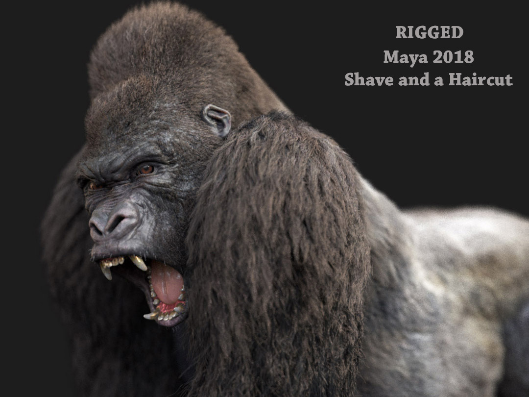 Buy Gorilla 3D (RIG) (XGEN-CORE) Model Online