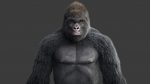 Gorilla 3D Model Online