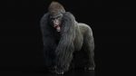 Gorilla 3D Model Online
