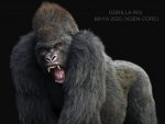 Buy Gorilla 3D (RIG) (XGEN-CORE) Model Online