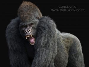 Buy Gorilla 3D (RIG) (XGEN-CORE) Model Online