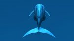 Buy Blue Whale 3D Model Online