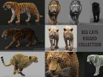 Cats 3D Model Online | Buy 3D Model Online