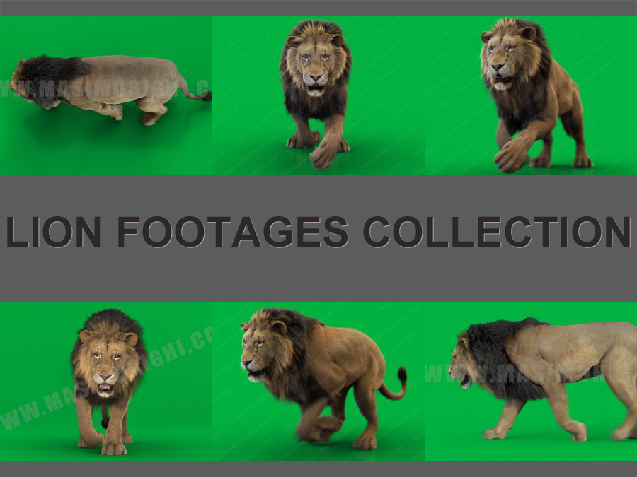 Lion 3D Model Online | Buy 3D Model Online