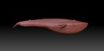 Buy Blue Whale 3D Model Online