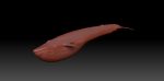 Buy Blue Whale 3D Model Online