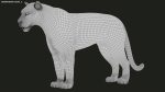 Bengal Tiger Rigged (Xgen-core) 3D Model Online