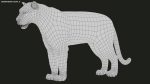 Bengal Tiger Rigged (Xgen-core) 3D Model Online