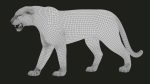 Bengal Tiger Rigged (Xgen-core) 3D Model Online