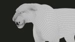 Bengal Tiger Rigged (Xgen-core) 3D Model Online
